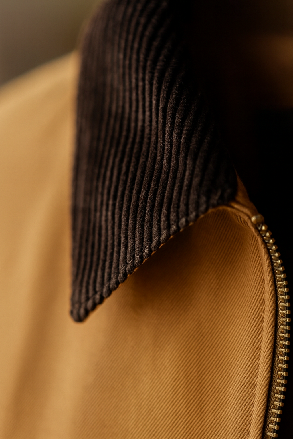 Canvas Harrington Jacket